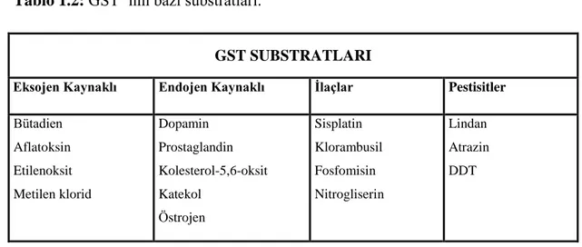 Tablo 1.2: GST’ nin bazı substratları. 
