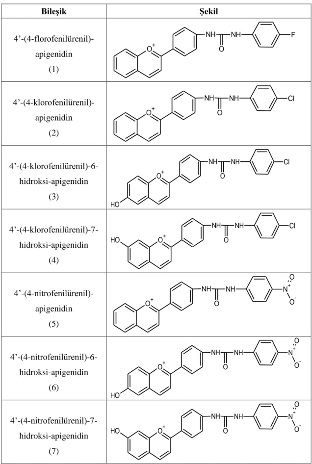 Tablo 2.1:Araştırmada kullanılan flavonoid türevleri ve isimleri. 
