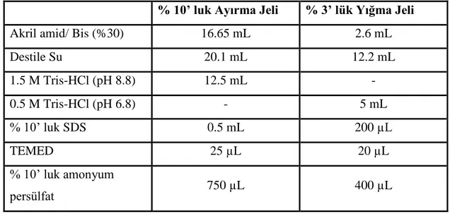 Tablo 2.2: Saflaştırılan enzimin elektroforez işlemindeki çözeltilerin miktarları 