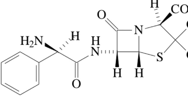 ġekil 1.9 Sodyum ampisilin bileĢiğinin molekül Ģekli (Monosodyum (2S, 5R,  6R)-6-[(2R)-2-amino-2-fenilasetilamino]-3,3-dimetil-7-okso-4-tiyo-1-aza bisiklo 