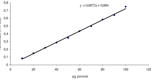 Şekil 3.1  Bradford yöntemi ile protein tayini için hazırlanan standart grafik 