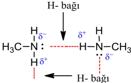 ġekil 1.7: Amin moleküllerinin kendi aralarında oluşturduğu hidrojen bağı. 