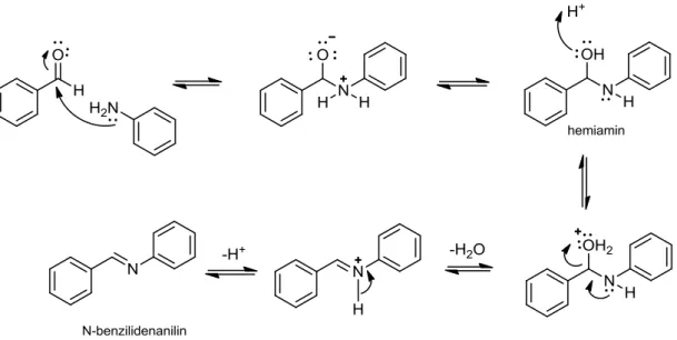ġekil 1.12: Benzaldehit ve anilinin reaksiyonu sonucu oluşan iminin mekanizma gösterimi