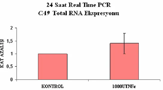Şekil 3.8  En yüksek TNFα uygulanmış HT-29 hücrelerinde 24 saat sonundaki CA9  