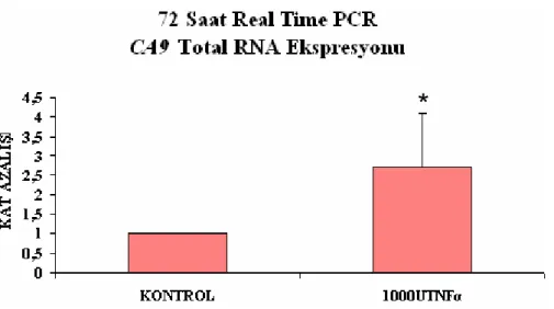 Şekil 3.18   En yüksek TNFα uygulanmış HT-29 hücrelerinde 72 saat sonundaki  CA9  RNA ekspresyonunun kat azalışı (* p&lt;0,05 istatistiksel olarak anlamlıdır.) 