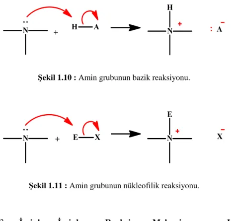Şekil 1.10 : Amin grubunun bazik reaksiyonu. 