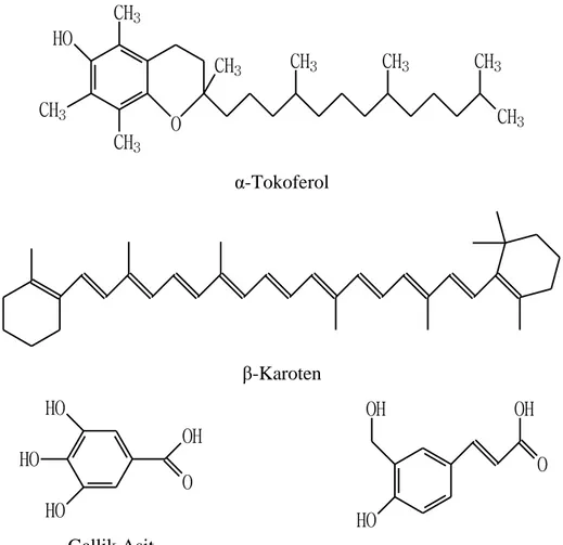 ġekil 1.1 Antioksidan moleküllerin kimyasal yapıları 