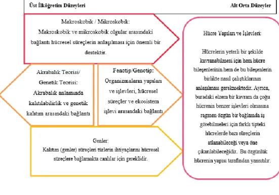 Şekil 2.7: Öğrenme Progresyonun 6-8. Düzeyler Segmentinin Grafiksel  Gösterimi (Elmesky, 2012, s