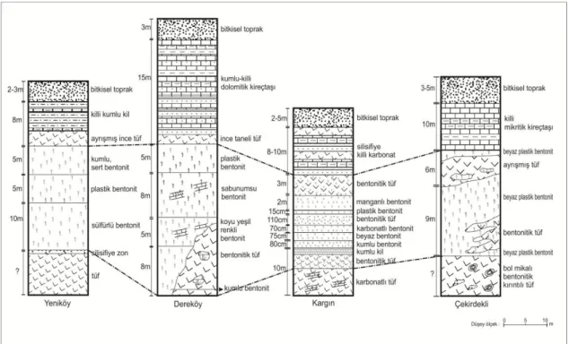 Şekil 2. Bentonitlerin ölçülmüş stratigrafik kesitleri 