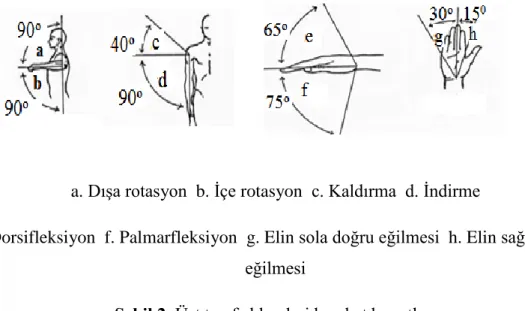 Şekil 2. Üst taraf eklemleri hareket boyutları 