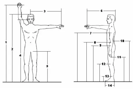 Şekil 15. Statik antropometri çalışmalarında kullanılan ayaktaki boyutlar [1]. 