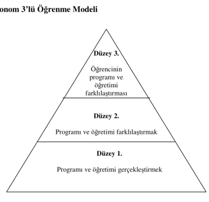 Şekil 9. Otonom 3’lü Öğrenme Modeli 