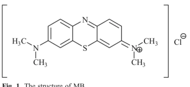 Fig. 1 The structure of MB