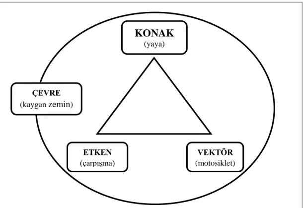 ġekil 2.1. Yaralanmanın Epidemiyolojisi (WHO, 2001). 