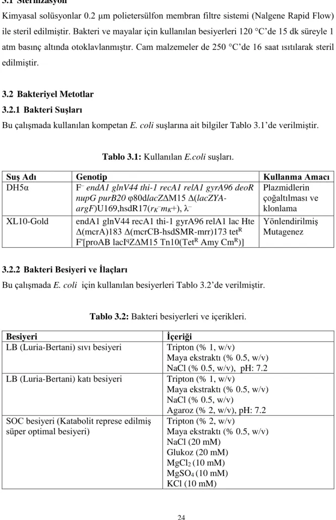 Tablo 3.1: Kullanılan E.coli suşları. 