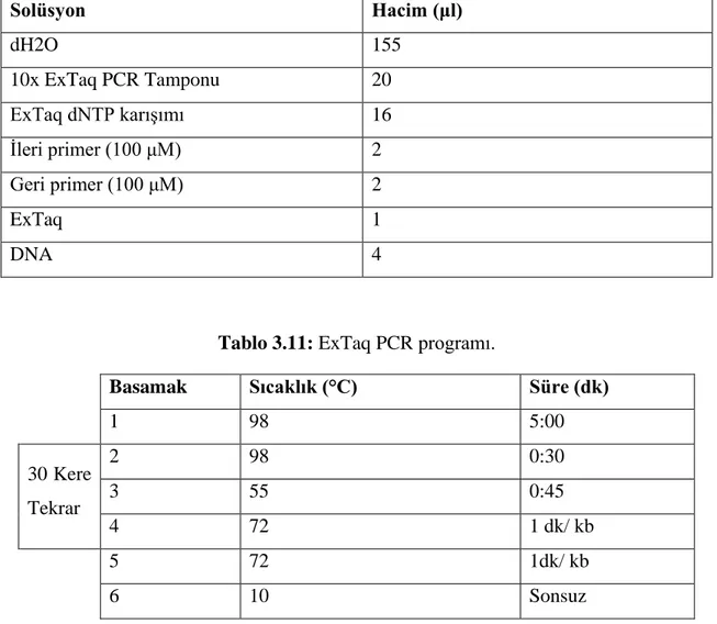 Tablo 3.10: ExTaq PCR içeriği. 