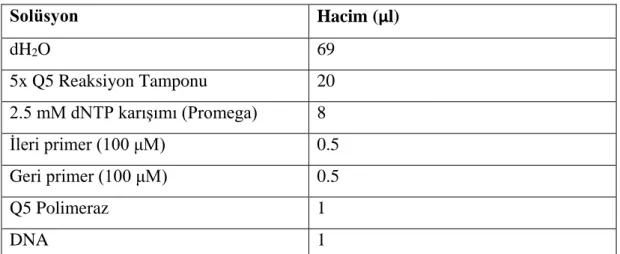 Tablo 3.12: Q5 PCR içeriği.  Solüsyon  Hacim (μl)  dH 2 O  69  5x Q5 Reaksiyon Tamponu  20  2.5 mM dNTP karışımı (Promega)  8  İleri primer (100 μM)  0.5  Geri primer (100 μM)  0.5  Q5 Polimeraz  1  DNA   1  Tablo 3.13: Q5 PCR programı