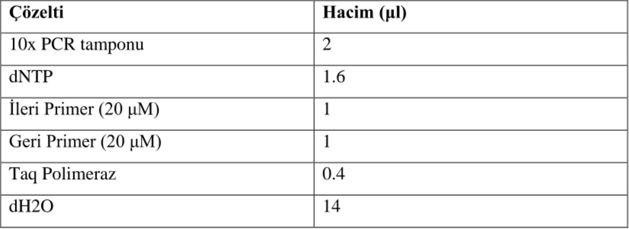 Tablo 3.14: Maya koloni PCR içeriği. 