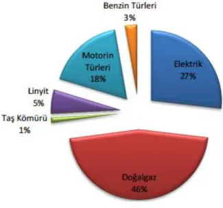 Şekil 2.1: Ağustos 2013 Enerji Tüketim Oranı [22] 