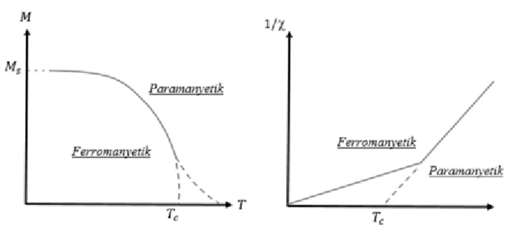 Şekil 2.11:  Ferromanyetik malzemelerin sıcaklık artışına ve kritik sıcaklık (T c ) değerine bağlı    a) Manyetizasyon grafiği, b) Manyetik alınganlık grafiği