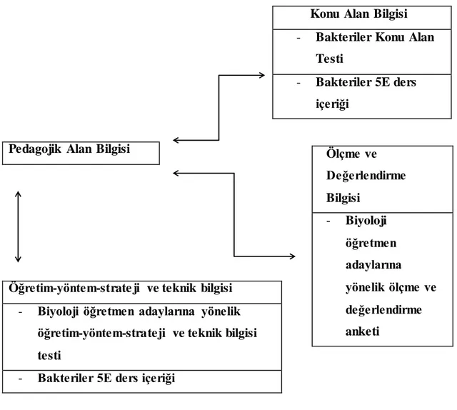 Şekil 2.6: Çalışmamızda  kullanılan  pedagojik  alan  bilgisi  diyagramı. 