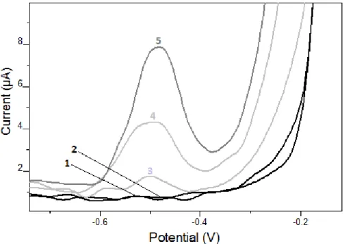 Şekil 3.1: Bi/GCE ile Sn(II)’ nin Davranışı, (1) 0 µg/L Sn 2+ , (2) 50 µg/L Sn 2+ , (3) 50 µg/L Sn 2+  +  1,5.10 -4  M Katekol, (4) 100 µg/L Sn 2+  + 1,5.10 -4  M Katekol, (5) 150 µg/L Sn 2+  + 1,5.10 -4  M Katekol  (0.1 M pH 4,5 asetikasit/asetat tampon, 