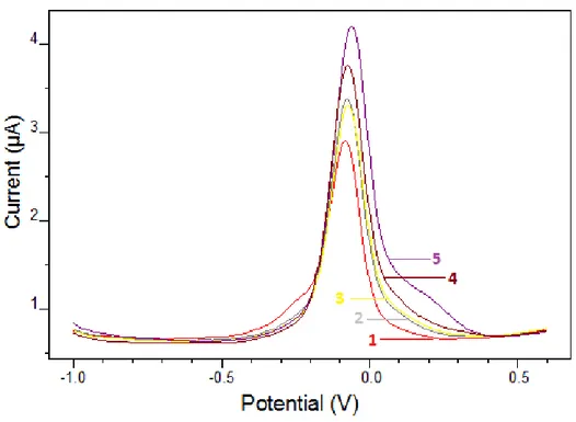 Şekil 3.5: Bi/Nafion/GCE’ de Sn 2+  nin davranışı, (1) 0 µg/L Sn 2+ , (2) 10 µg/L Sn 2+ , (3) 20 µg/L Sn 2+ ,  (4) 20 µg/L Sn 2+  + 1,5.10 -4  M Katekol, (5) 40 µg/L Sn 2+  + 1,5.10 -4  M Katekol (0.1 M pH 4,5  asetikasit/asetat tampon, 1 mg/L Bi 3+ , E b 