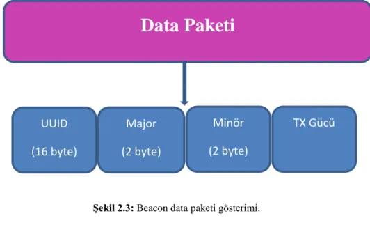Şekil 2.3: Beacon data paketi gösterimi. 