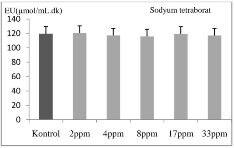 ġekil  3.25:  CAT  aktivitesi  üzerine  sırasıyla  2  ppm,  4  ppm, 8ppm 17 ppm ve 33ppm sodyum tetraborat etkisi