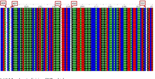 ġekil 3.2:  κ-kazein dizisi ve SNP noktaları