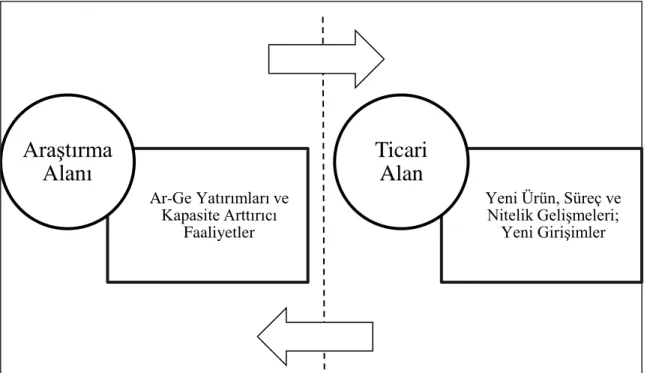 Şekil 2.2. İnovasyon Ekosistemi 