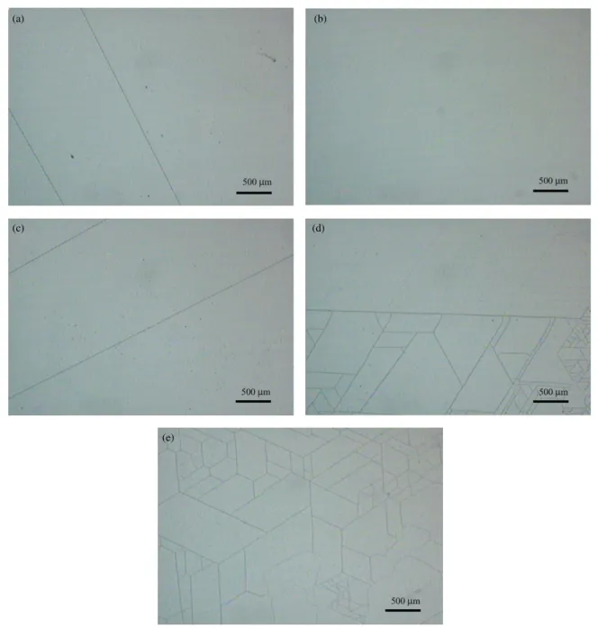 Figure 2. Optical Nomarski microscopy views of (a) sample A, (b) sample B, (c) sample C, (d) sample D and (e) sample E.
