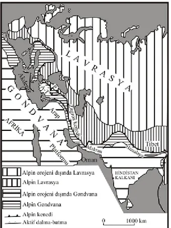 Şekil 1.2: Alp-Himalaya orojenik kuşağı ve Türkiye’nin konumu (Şengör, 1987). 