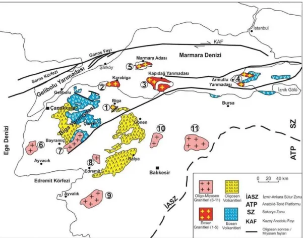 Şekil 1.6: Biga Yarımadası’ndaki Eosen ve Oligosen yaşlı plütonik ve volkanik kayaçların dağılımı: 