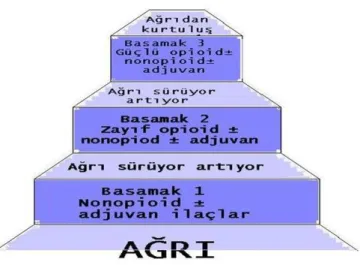 Şekil 2.5. DSÖ Basamaklı ağrı tedavisi  (DSÖ, 08.12.2017)  
