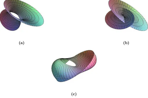 Figure 2. The projections of canal surfaces of general helix in E 3