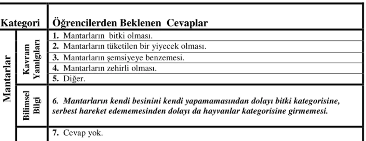 Tablo  3.7  Mantarlar Kategorisi Analiz Tablosu 