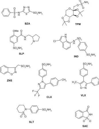 Figure 1. Alignment of scCA, Nce103 (from C. albicans) and Nce103 (from. C. glabrata) amino acid sequences