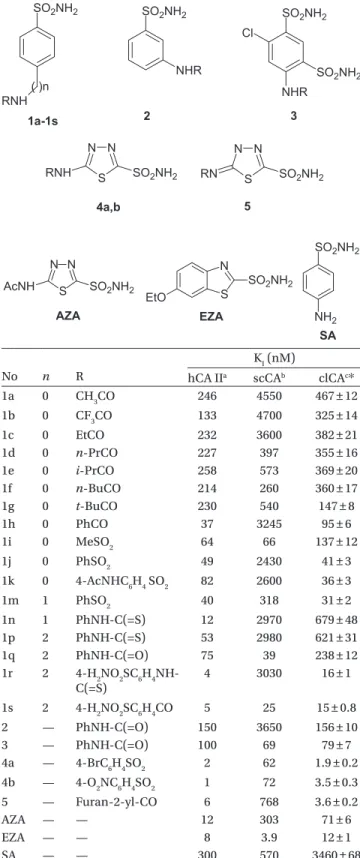 Table 2.  hCA II, scCA, and clCA inhibition data with 