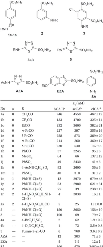 Table 2.  hCA II, scCA, and clCA inhibition data with 