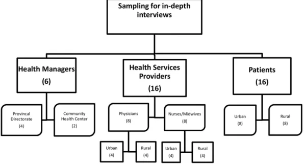 FIGURE 1 Sample size and characteristics