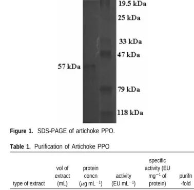 Table 1. Purification of Artichoke PPO