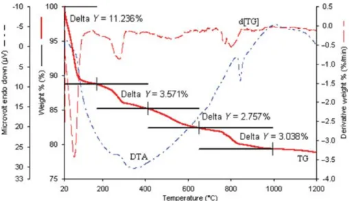 FIGURE 8. TG, DTA, and d[TG] diagrams of sepiolite.