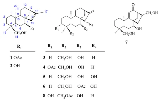Figure 1. Structures of the isolated diterpenoids 