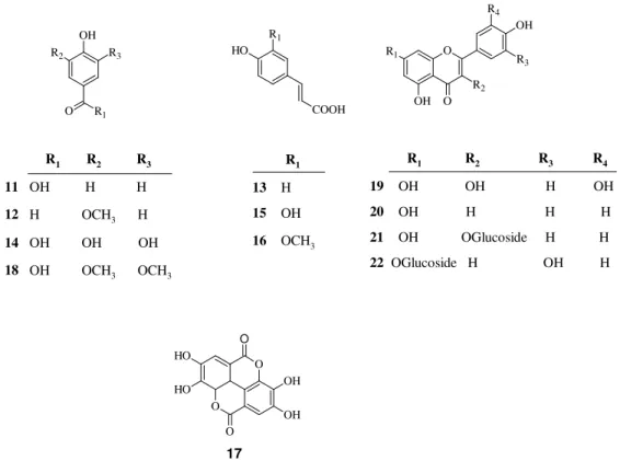 Figure 3. Structures of the determined phenolic compounds by LC-MS/MS 