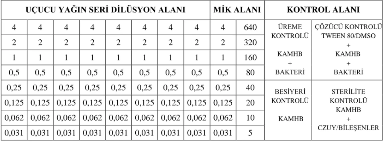 Şekil 3.3 Checkerboard işleminde birinci mikroplakanın hazırlık şeması. 