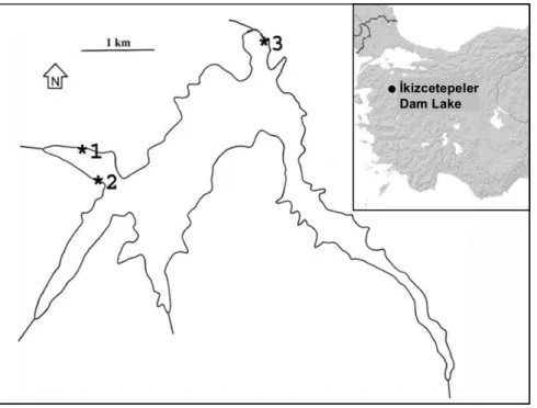 Figure 1. İkizcetepeler dam lake and sampling stations. 