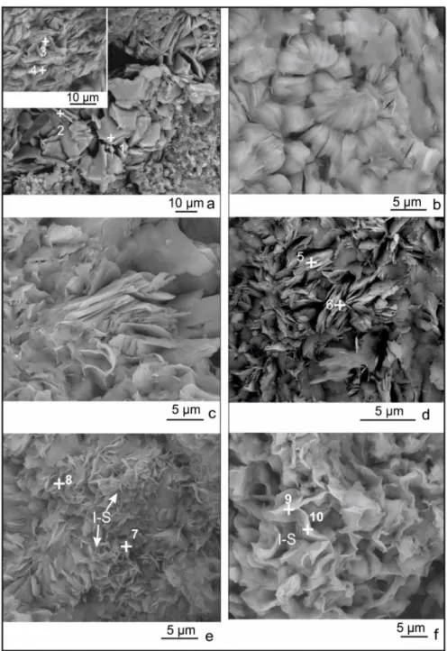 Figure  9.  a)  Pseudohexagonal  chlorite  crystals  (H346)  and  randomly  oriented  chlorite  crystals  (upper  left  image),  b)  Vermicular form of chlorite (H345), c) Chlorite crystals covered by I‐S (H345), d) Lath shaped &gt; 5 μm subhedral crystals