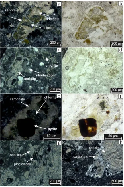 Figure 4. Photomicrographs: a) Chlorite, carbonate and sericite alteration probably formed from a feldspar; cross nicols  (H345) , b) Paralel nicols of the previous view, c) Silisification, sericite and chlorite in the matrix of H16, d) Paralel nicols  of 