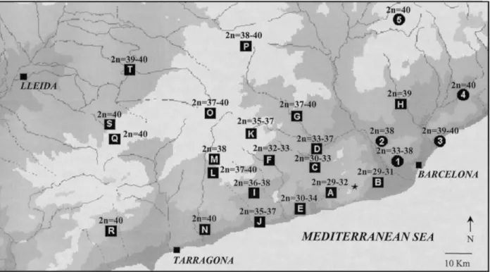 Fig. 1. Map showing the collection sites in the vicinity of the Barcelona hybrid zone and the range of diploid numbers found at each